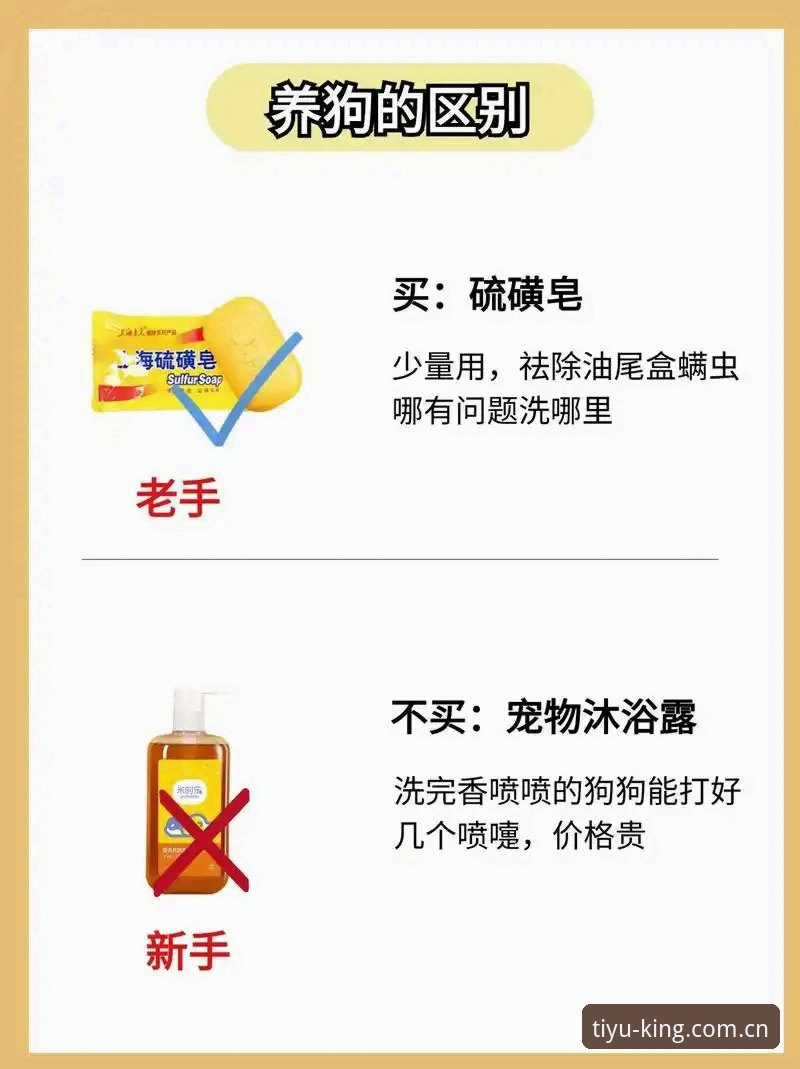 云体育新用户使用指南 新手必读 vs 老手经验:云体育新用户使用指南全面对比